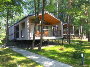 3pokoje - domek pod lasem na odludziu, Susiec